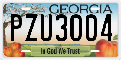 GA license plate PZU3004