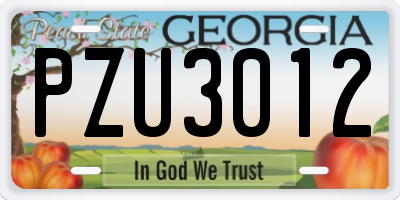 GA license plate PZU3012