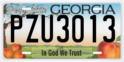 GA license plate PZU3013