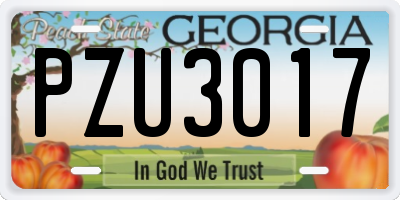 GA license plate PZU3017