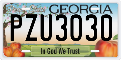 GA license plate PZU3030