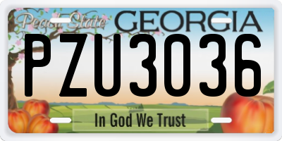 GA license plate PZU3036
