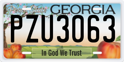 GA license plate PZU3063