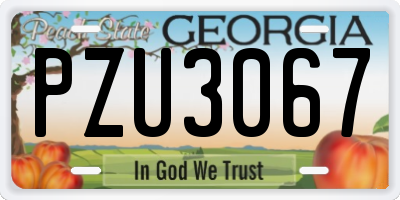 GA license plate PZU3067