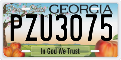 GA license plate PZU3075