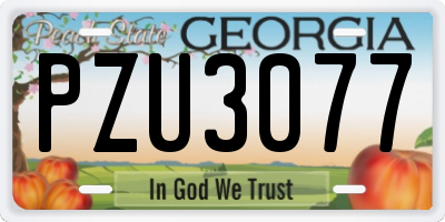 GA license plate PZU3077