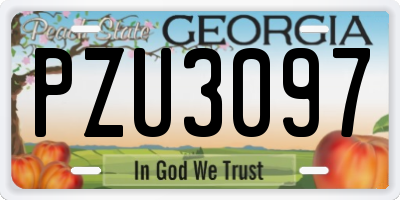 GA license plate PZU3097