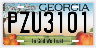 GA license plate PZU3101