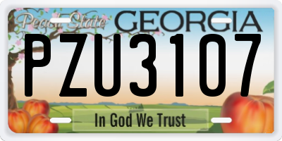 GA license plate PZU3107