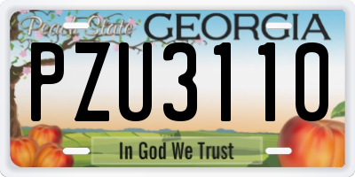 GA license plate PZU3110