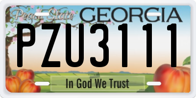 GA license plate PZU3111