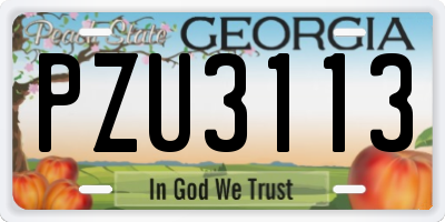 GA license plate PZU3113