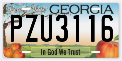 GA license plate PZU3116