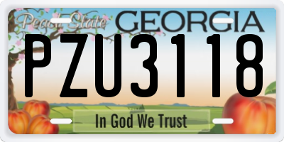 GA license plate PZU3118