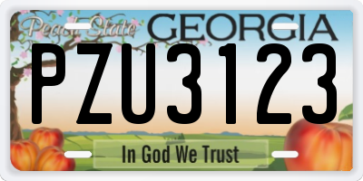 GA license plate PZU3123