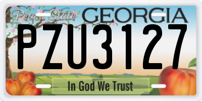 GA license plate PZU3127
