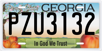 GA license plate PZU3132