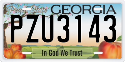 GA license plate PZU3143