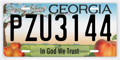 GA license plate PZU3144