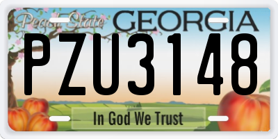 GA license plate PZU3148