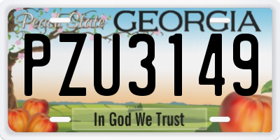 GA license plate PZU3149