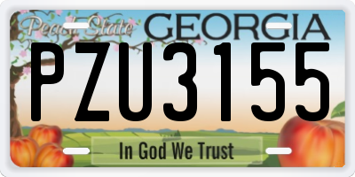 GA license plate PZU3155
