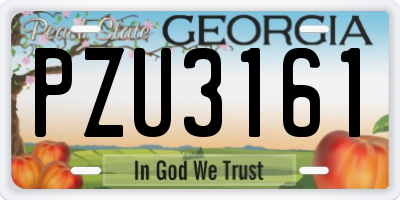 GA license plate PZU3161