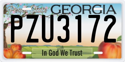 GA license plate PZU3172