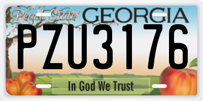 GA license plate PZU3176