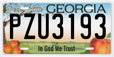 GA license plate PZU3193