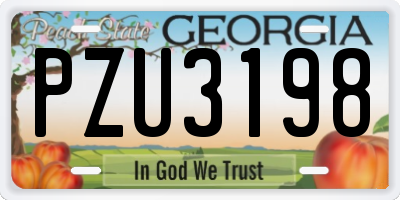 GA license plate PZU3198