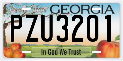 GA license plate PZU3201