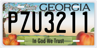 GA license plate PZU3211