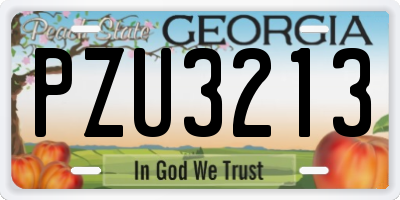GA license plate PZU3213