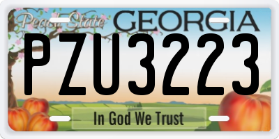 GA license plate PZU3223