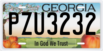 GA license plate PZU3232