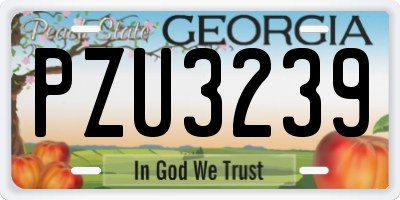 GA license plate PZU3239