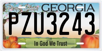GA license plate PZU3243