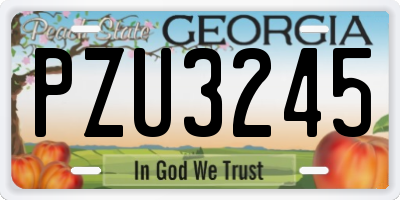 GA license plate PZU3245