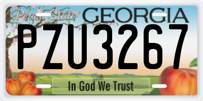 GA license plate PZU3267