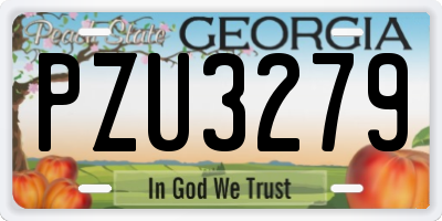 GA license plate PZU3279