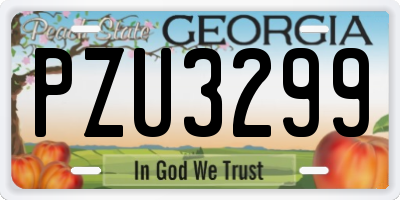 GA license plate PZU3299