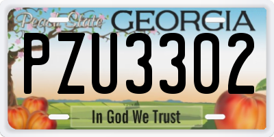 GA license plate PZU3302