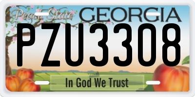 GA license plate PZU3308