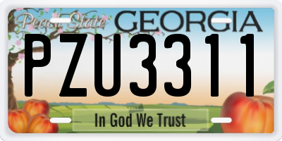 GA license plate PZU3311