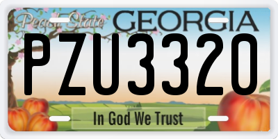 GA license plate PZU3320