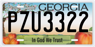 GA license plate PZU3322