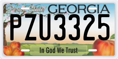 GA license plate PZU3325