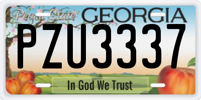 GA license plate PZU3337