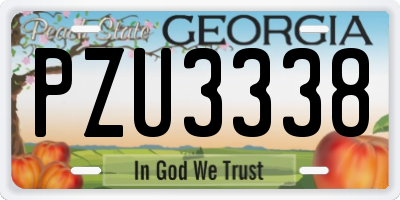 GA license plate PZU3338